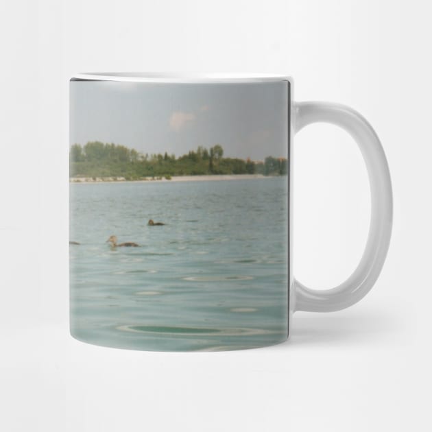 Ducks in a lake by HFGJewels